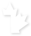 Canadian Alliance maple leaf canada flourish.
